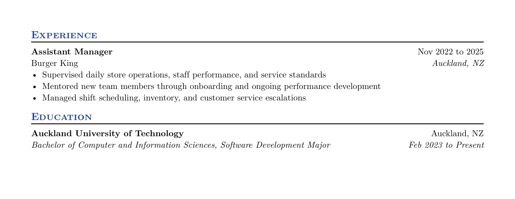 CV page 2: experience and education